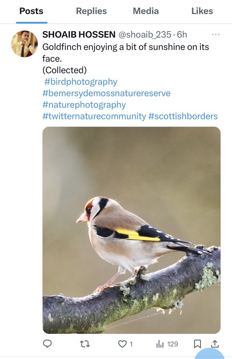 fiona4fiona's tweet photo. @CameraBob5 Looks like you need to block this person - passing your photos off as their own https://t.co/4VOEkdVyr2