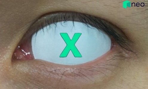 lockyer83's tweet image. #ETHEREUM sidechains are growing and bringing many advantages with them

What EVM sidechain do you or will you be using ?

#EVM #EthereumVirtualMachine 
#NeoX #ETH $ETH