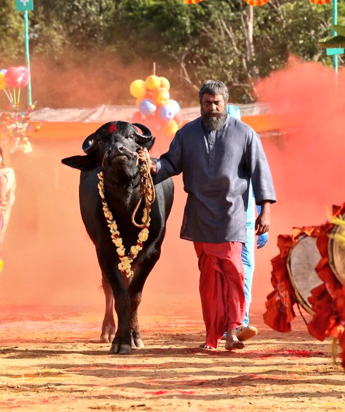 DBossTrends's tweet photo. Kaatera is Creating a Havoc at Box Office Today on it's 16th Day 🥵🥵💥💥

32+ FF in Bengaluru Alone, 8FF in Mysuru, 3 FF in Shivamogga, 3FF in Tumkuru, 1 FF each in Kalburgi and Raichur at 2:30PM IST 🔥🔥

#ಸಂಕ್ರಾಂತಿಗೆಮತ್ತೊಮ್ಮೆಕಾಟೇರ 
#KaateraStormHits150Cr

#BlockbusterKaatera 
#DBoss #Kaatera @dasadarshan