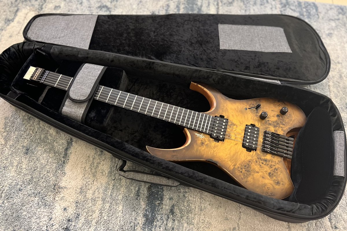 年明け、衝動で #Mayones hydra elite 6 を入手しました mayonesも 