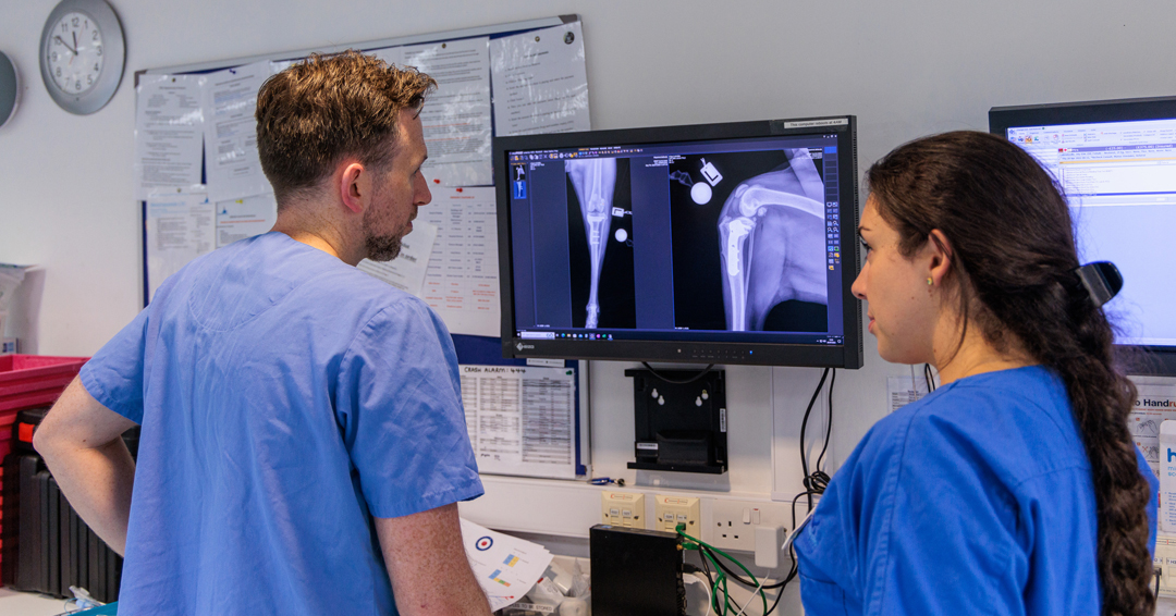 fitzpatrickref's tweet photo. Don't miss your opportunity to apply for our #ECVS small animal surgical #residency.

Learn from experienced world-class specialists, &amp; benefit from high caseloads (both routine &amp; complex), in a supportive environment with state-of-the-art facilities > https://t.co/YctkF1YsmQ https://t.co/l9SUtZtksj