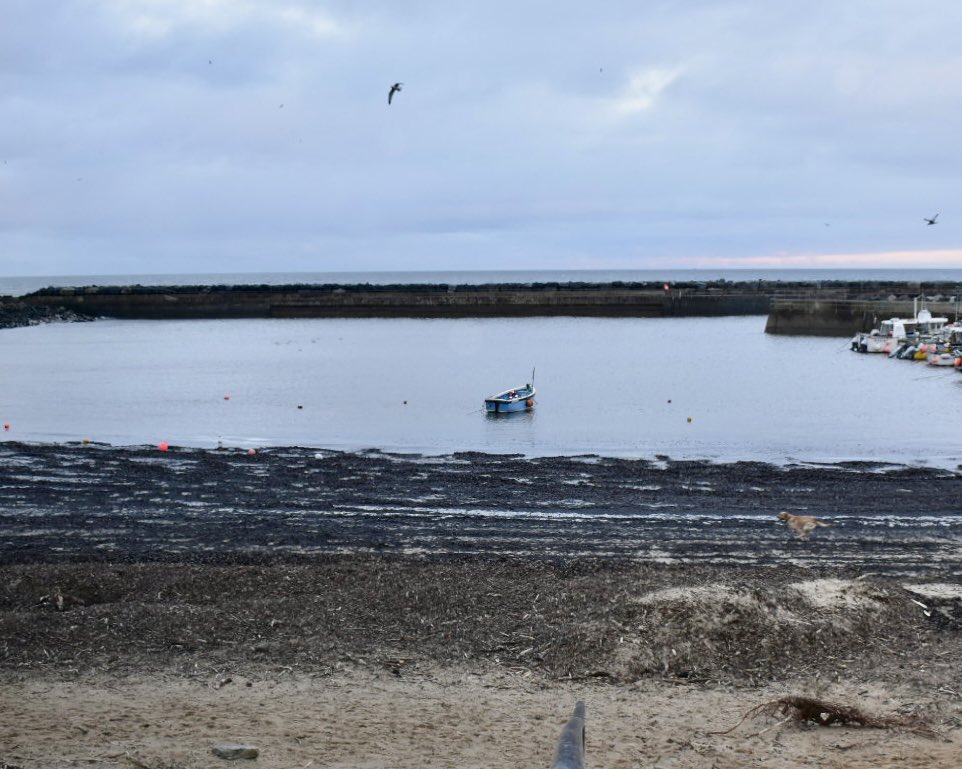 Rich Corbridge tweet media