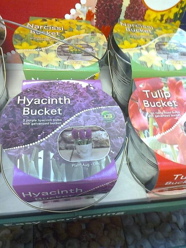 deliciouslybad's tweet photo. IT'S PRONOUNCED BOUQUET!

😅 https://t.co/BGNPee7nH7