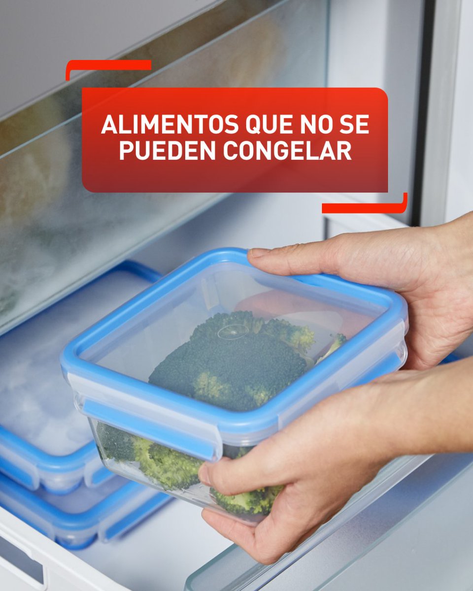 ❄️ Descubre qué alimentos no se pueden congelar:

-Huevos enteros crudos
-Patatas guisadas o cocidas, quedan con una textura malísima
-Verduras de hoja que quieras comer en crudo como la lechuga
-Pastas y arroces cocinados
-Pescados que ya lleven unos dos o tres días en la nevera