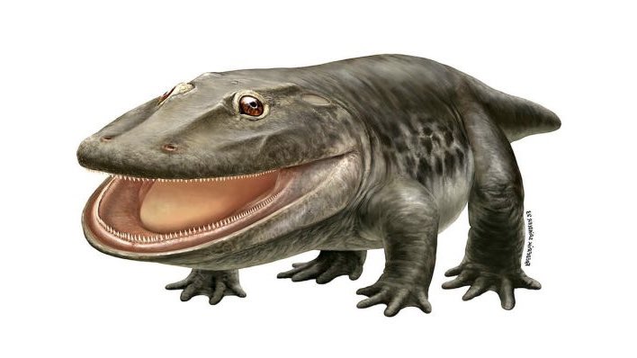 Herr Lindner, machen Sie 100 Milliarden Sondervermögen locker, wir müssen einen Jurassic Park auf Helgoland errichten und 100 solcher Racker klonen