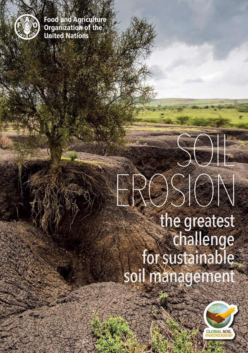 Despite almost a century of research and extension efforts, soil erosion by water, wind and tillage continues to be one of the the greatest threats to #SoilHealth  ⚠️ #GlobalSoilPartnership #SoilAction #SaveSoil

📖 Learn more  ➡️ fao.org/documents/card…