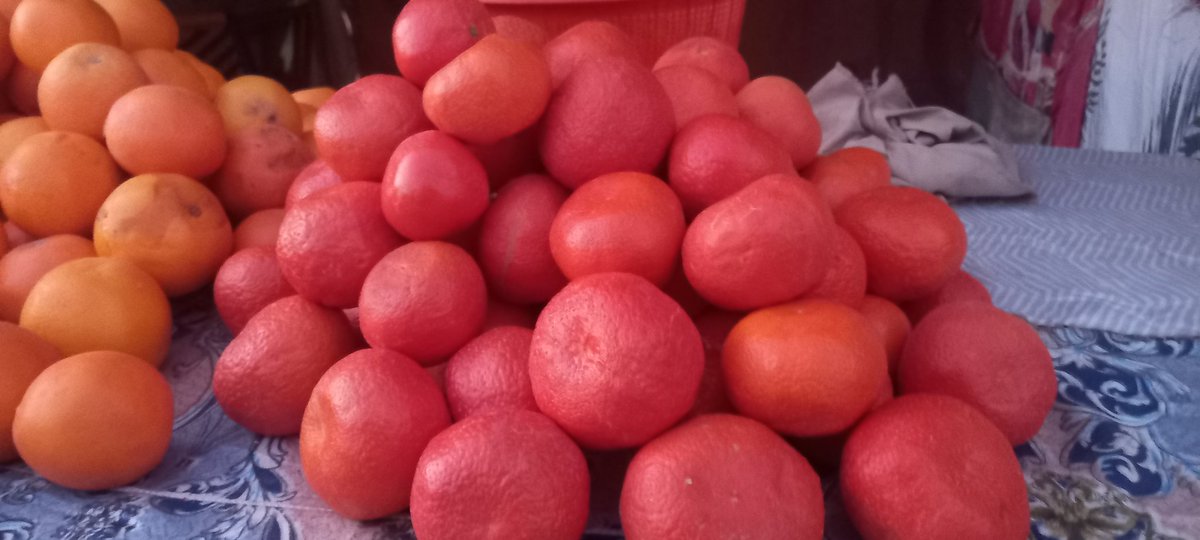 AhmadouAtafa's tweet photo. Niger : La foire des maraîchers de la région d’Agadez à Niamey. Divers produits bio et de bonne qualité exposés. Et c'est parti pour un mois. https://t.co/qMhqibDrlZ