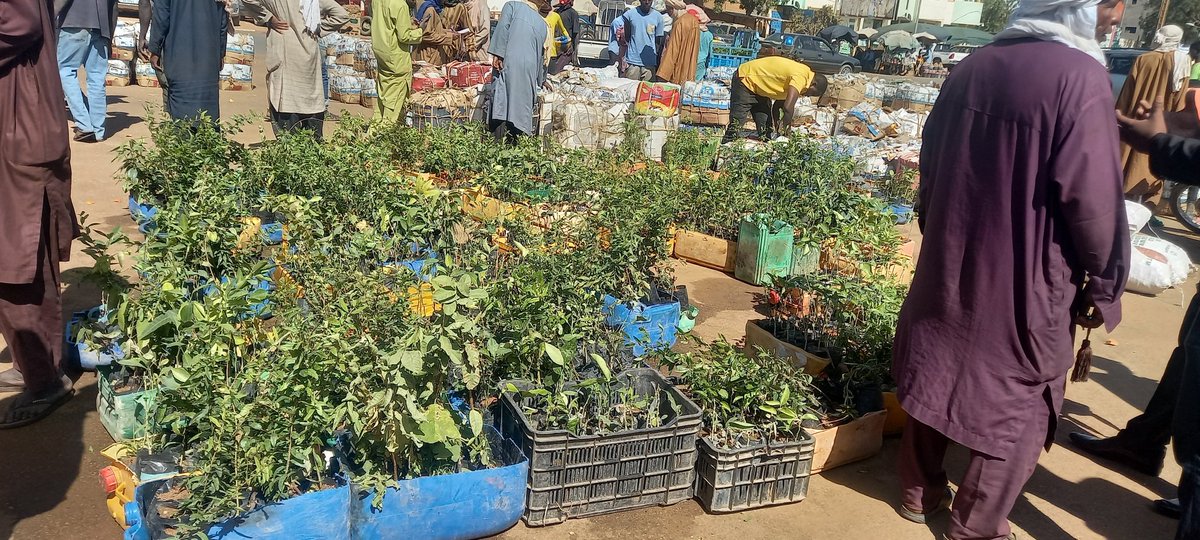 Niger : La foire des maraîchers de la région d’Agadez à Niamey. Divers produits bio et de bonne qualité exposés. Et c'est parti pour un mois.