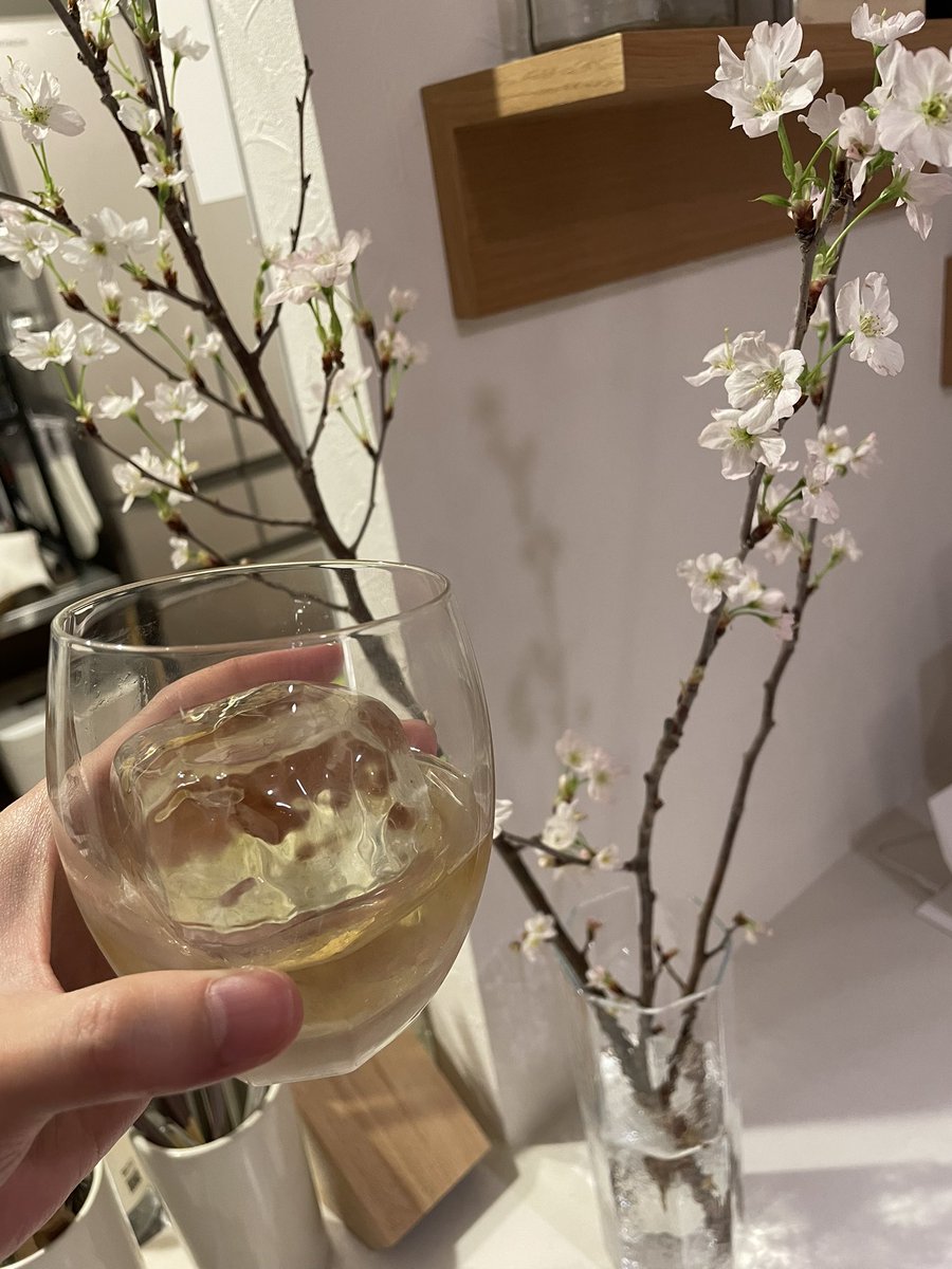 w_masaki's tweet photo. 早いけど花見酒 https://t.co/nYbRG0v6gp