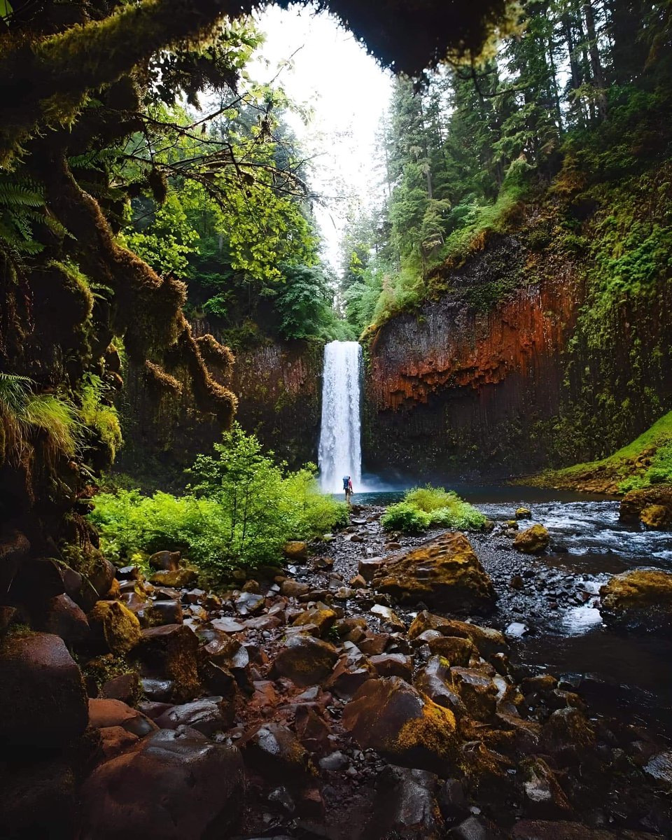 SeascapeNature's tweet photo. Abiqua Falls In Oregon 🌿 https://t.co/7UopEaKhGm
