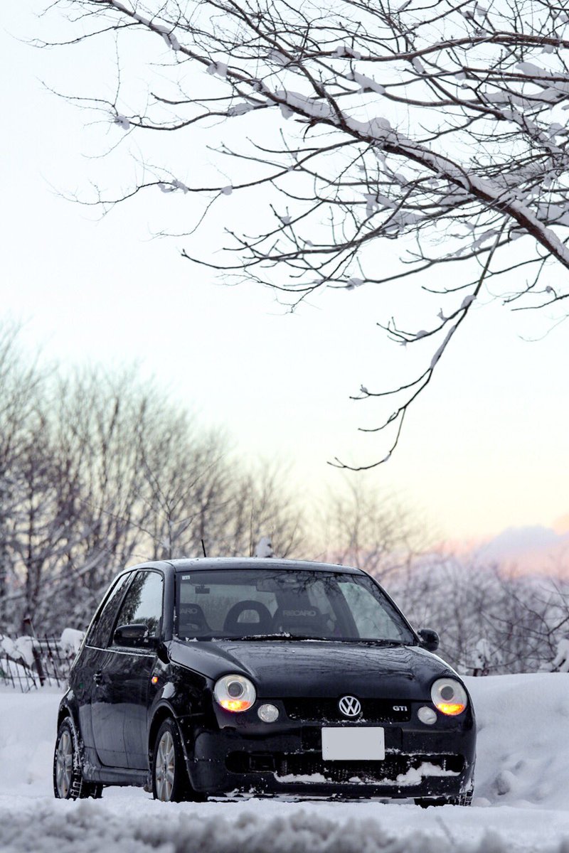 rockyousaba's tweet photo. 雪上のLupo。 https://t.co/UM6cEsXuMy