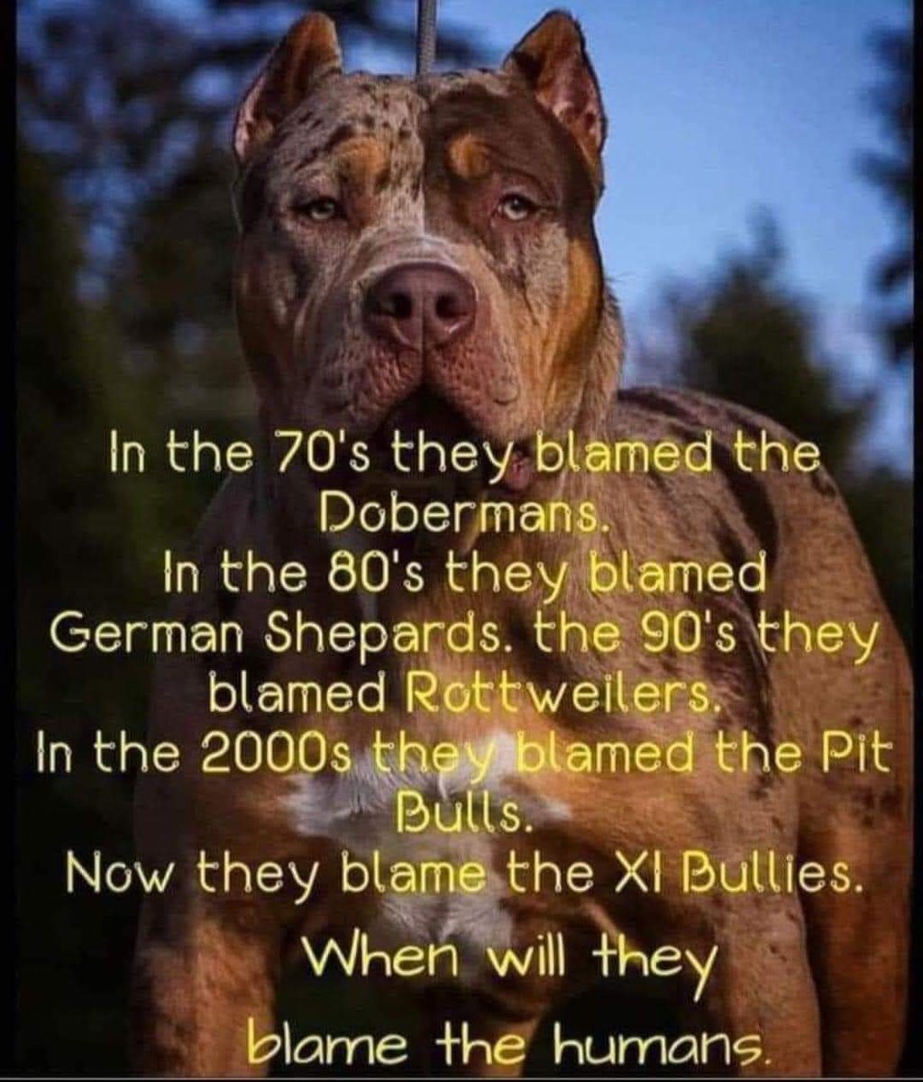 #XLBullyBan #XLBullies #dangerousdogs #bsl