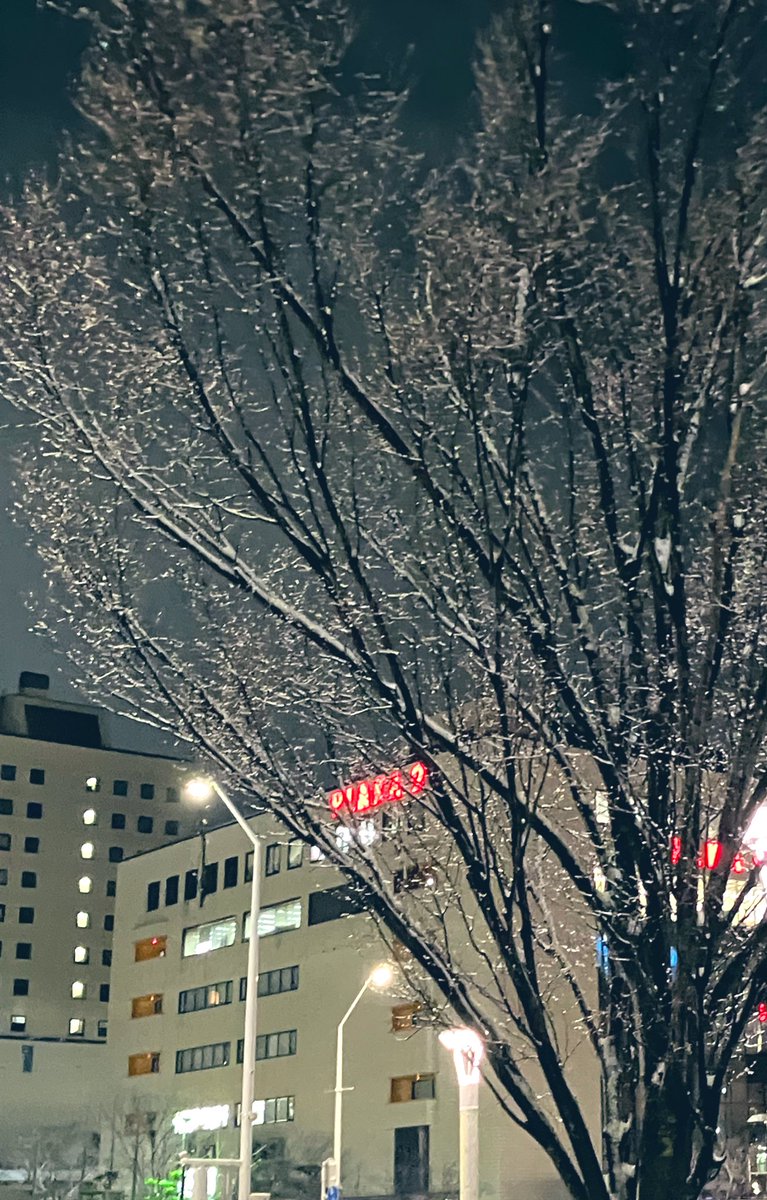 R2Cz0's tweet photo. 雪の新潟駅
今年は雪が少ない❄️☃️
#新潟市　#新潟駅 https://t.co/tAuADwNnAz