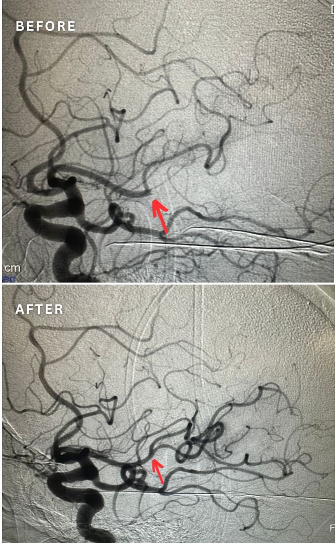 Wondwossen Gebreamanuel Tekle tweet media