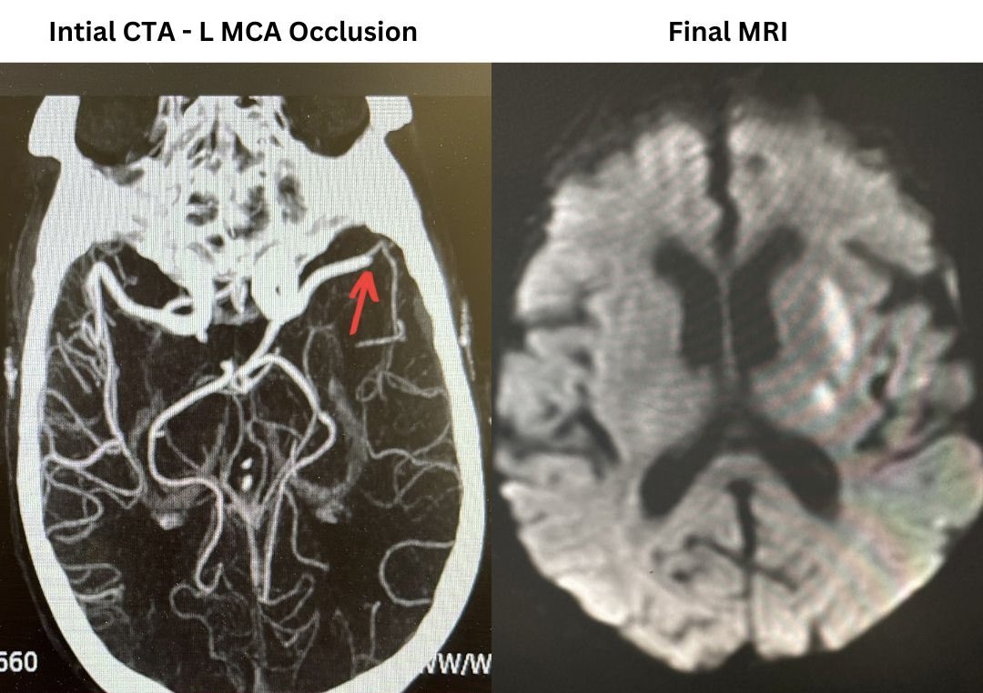 Wondwossen Gebreamanuel Tekle tweet media