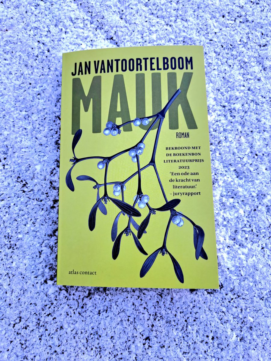 ilseja1's tweet photo. 'Ik was een jongen met een huid van fluweel en de kleur van de achtergrond.´ #Mauk #JanVantoortelboom #Boekenbonliteratuurprijs2023 Een gewelddadige vader, een kind met trauma, een beschermende grote broer. In zijn verbeelding toch. Heftig. #lezen #boek #literatuur https://t.co/bntbadHPdI