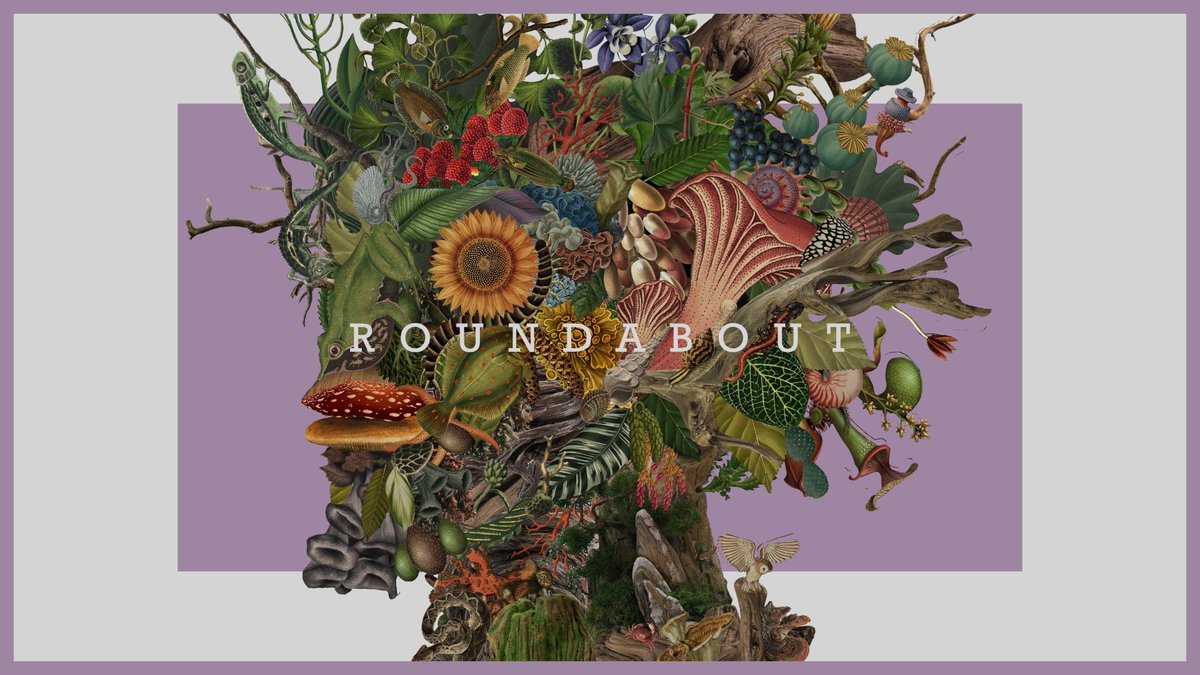 TatsuyaKitani2's tweet photo. 👁️アルバム全曲映像化決定👁️

『ROUNDABOUT』全曲ティザー映像が公開📺
https://t.co/KfX9KiIjs8

また、「キュートアグレッション」「旅にでも出よっか」「大人になっても」の映像化が決定しました！これでアルバム全曲に映像がつくことになります。

公開までお楽しみに👁️ https://t.co/0PPzcwr35Z