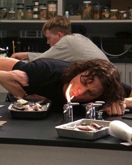 Heath Ledger in 10 Things I Hate About You (1999)