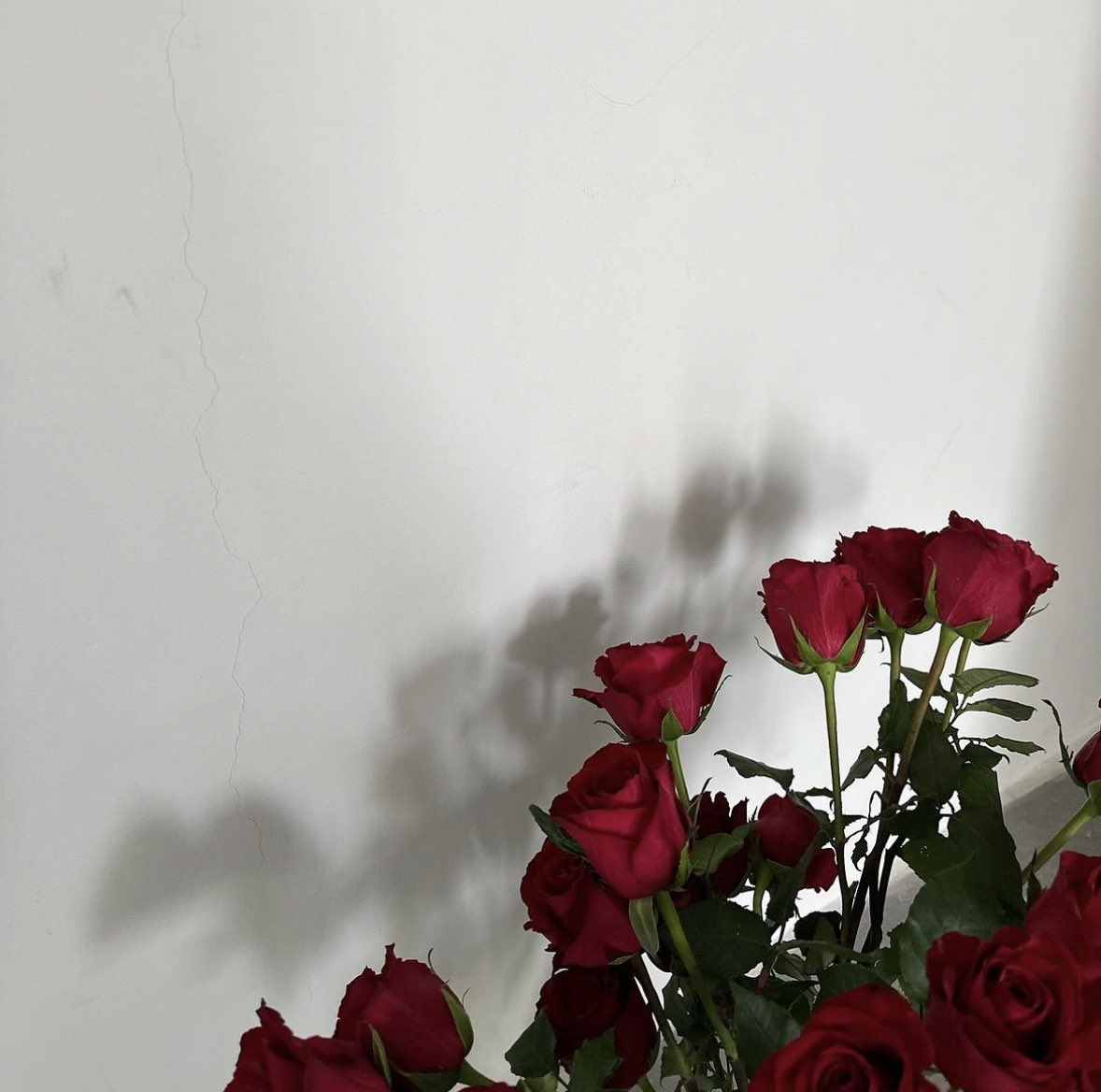 Əzəl gündən dünya yalan dünyadır,
Baha satan, ucuz alan dünyadır,
Arzuları nakam qalan dünyadır,
Dağılanı düzmək olmur, əzizim.

Kaşki dünya zalımlığın ataydı,
Qəlbim bir an istəyinə cataydı,
Yaşamağım göz yaşıdır, haraydır,
Göz yaşında üzmək olmur, əzizim.