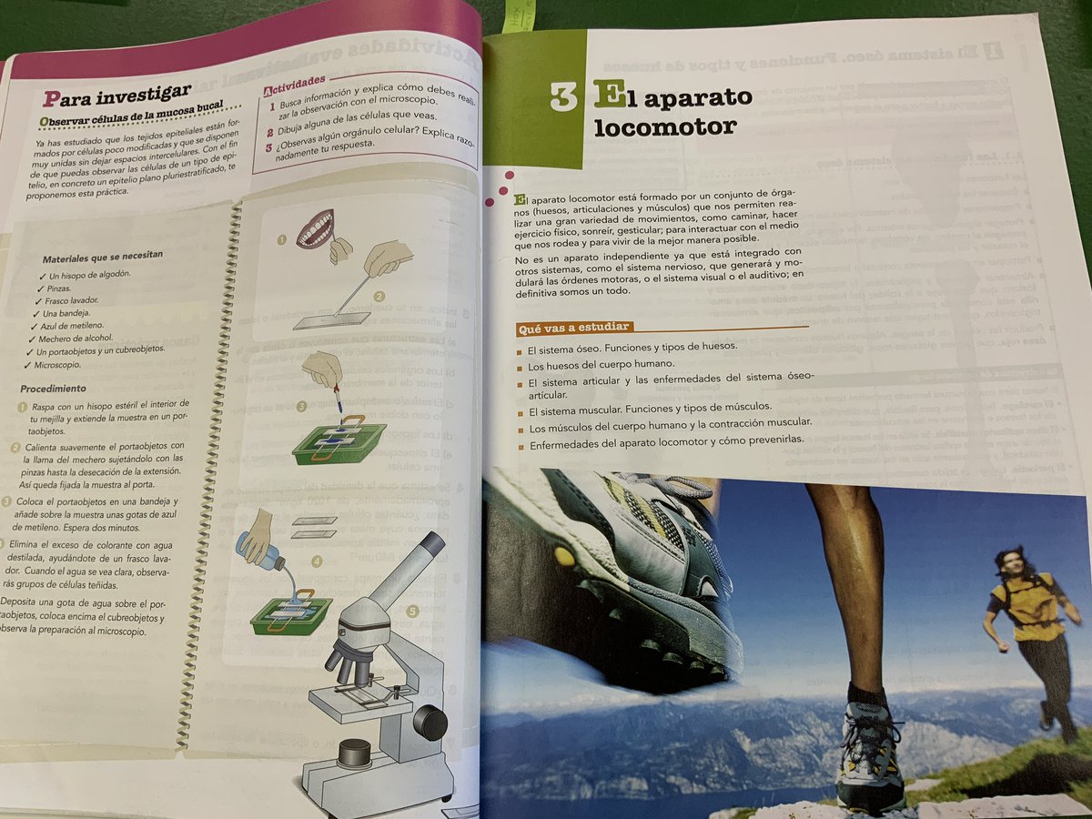 Estoy empezando aparato locomotor en mi asignatura de Anatomía aplicada de 1º de bachillerato y no se me ocurre nada mejor que ponerles este capítulo para comezar el tema. 

SERIE PIONEROS 03 - Corredores

patreon.com/posts/serie-pi…

Gracias siempre <a href="/Irreductible/">Javier Peláez</a>