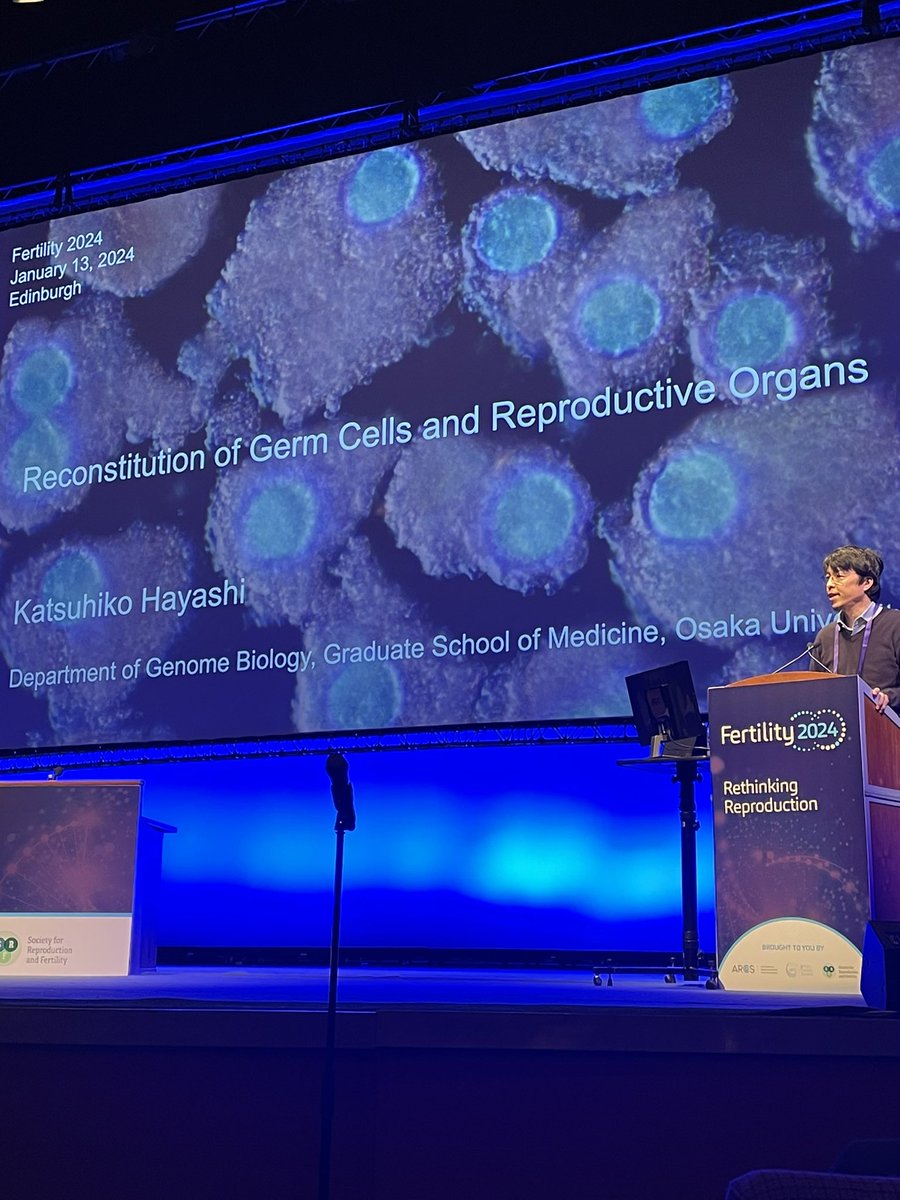 K Hayashi describes cutting-edge work on in vitro gametogenesis @Fertility2024 Amazing to see what can be done in mouse models!