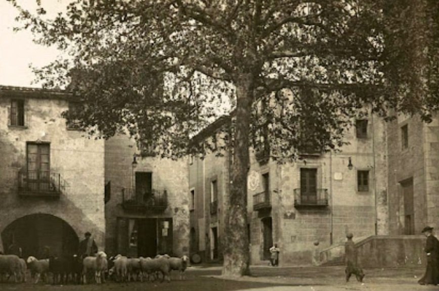 El 13/1/1714 una columna de 800 soldats borbònics van arribar a Arbúcies sembrant el terror: saquejos, violacions, etc. L'endemà, la gent del poble s'hi va tornar, i en van matar 500; la resta van fugir cames ajudeu-me. En represàlia, van cremar Arbúcies, Espinelves i Viladrau.