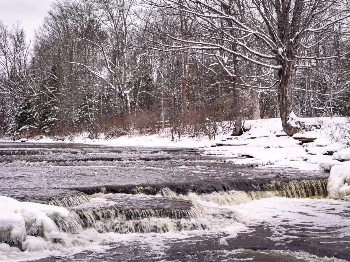 Visit Escanaba tweet media