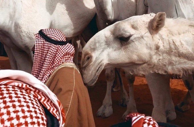 SAUDI POPULAR (@saudipopular) on Twitter photo 