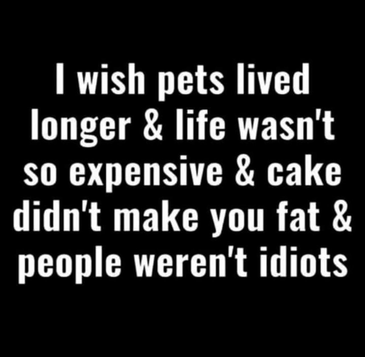 criswinter412's tweet photo. Other than that…🤷🏼♀️🤣🤣
#Saturday #SaturdayMood #SaturdayMorning #SaturdayThoughts #SaturdayVibes #saturday #wishpetslivedlonger #lifeisexpensive #cake #peopleareidiots #justafewthings https://t.co/qbw4OjIvys