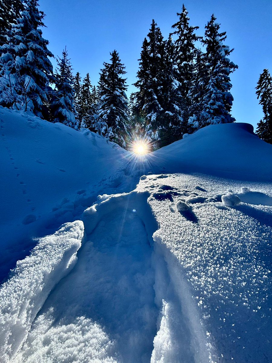 When Chef Pav is not crafting delicious dishes in the chalet, he loves to embrace nature on a refreshing hike... 13km in the mountains is no mean feat! 

#chefsdayoff #latania #mountainlife #mountainhike