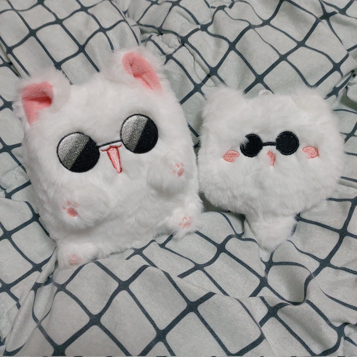 친하게 지내 고죠냥들아~