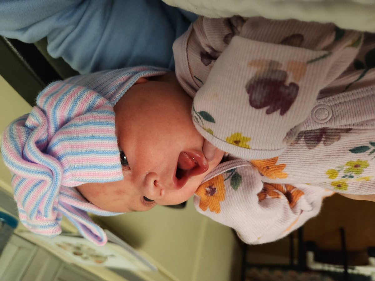 Brad Hickey tweet media