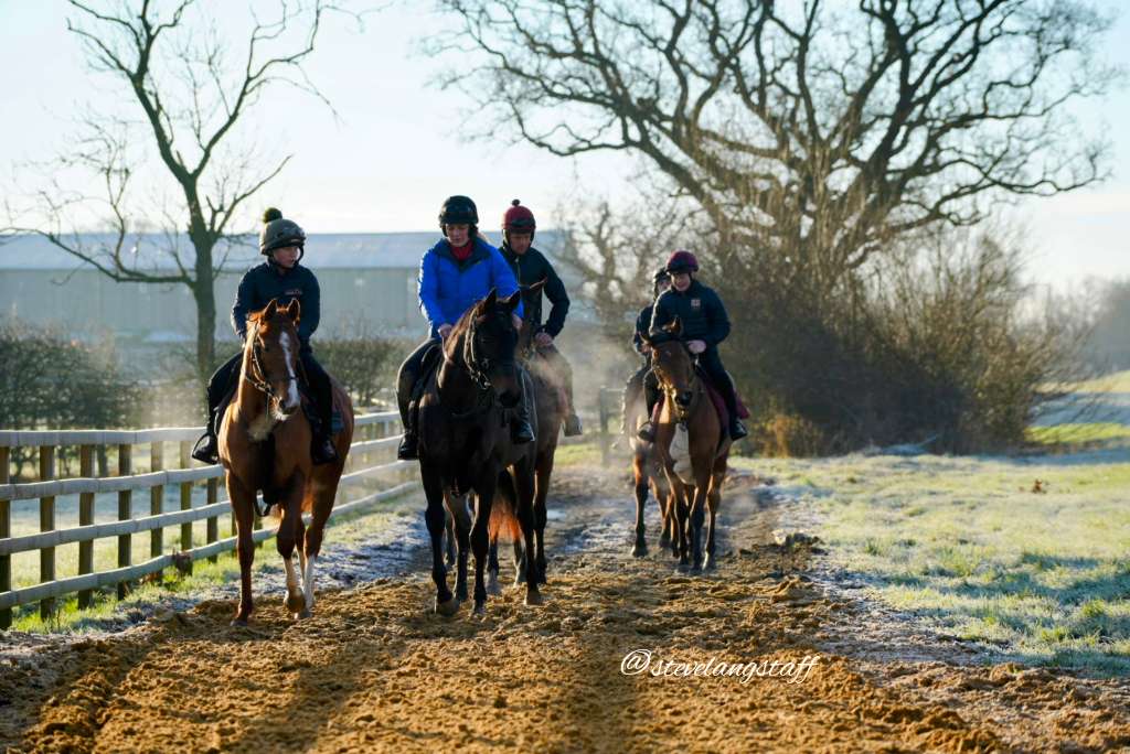 Chilli morning on the gallops @EboracumRacing photographing the team @C_LidsterRacing
