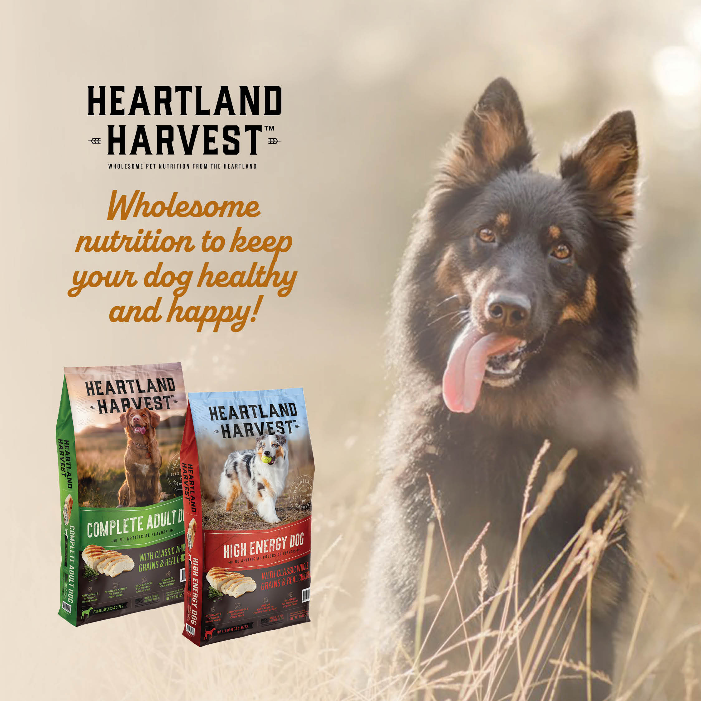 Wholesome harvest dog best sale food