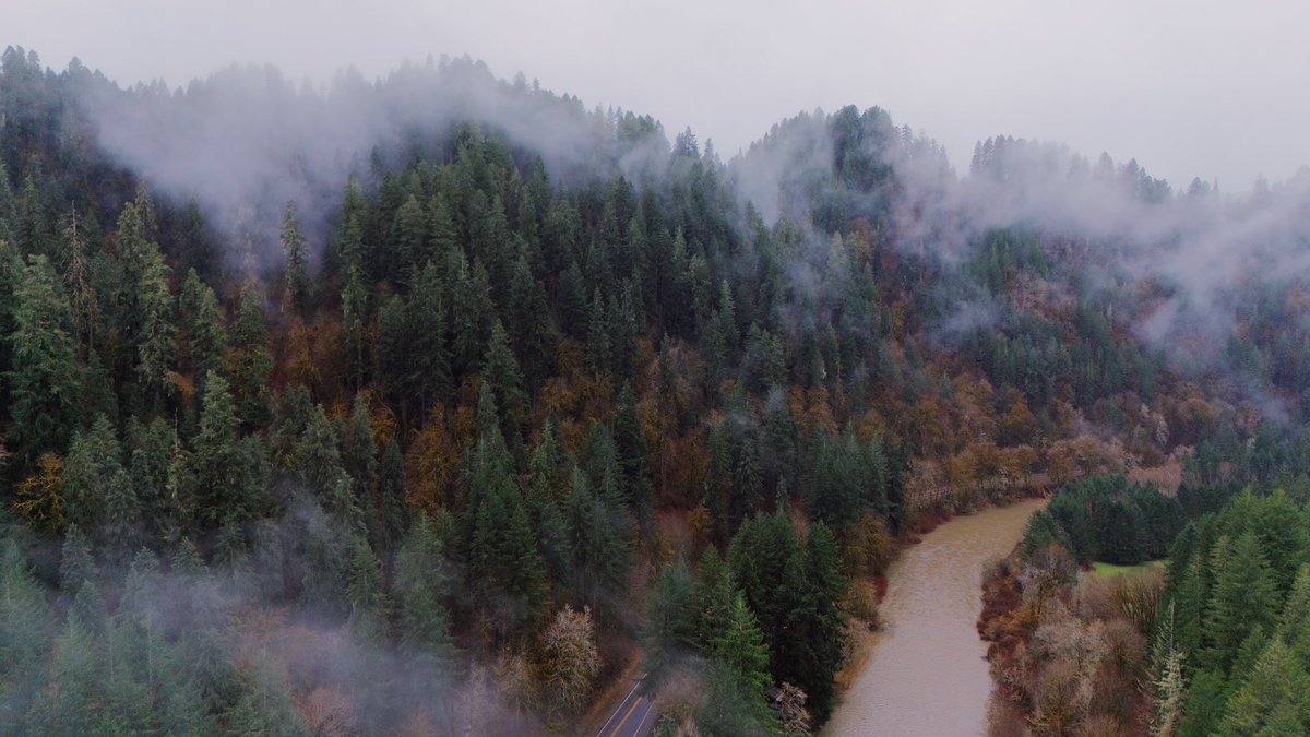 nev_in_color's tweet photo. A day in the PNW. https://t.co/CCHLCDaUSm