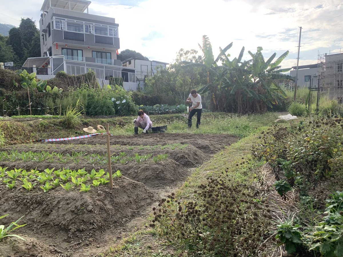 BrightBirdBio's tweet image. 深耕細作

接手修復田地不會比開闢處女地容易，始終很多人覺得耕田「不用學就識」，所以很多舊有的田地會因為錯誤和不善的處理，導致土壤結構極差而且養分失衡，沒有健康的生態系統，即是生病的土地。

brightbirdbio.com/?p=3346