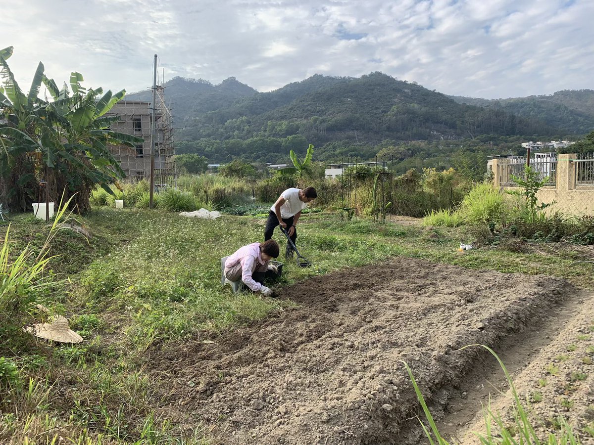 BrightBirdBio's tweet image. 深耕細作

接手修復田地不會比開闢處女地容易，始終很多人覺得耕田「不用學就識」，所以很多舊有的田地會因為錯誤和不善的處理，導致土壤結構極差而且養分失衡，沒有健康的生態系統，即是生病的土地。

brightbirdbio.com/?p=3346