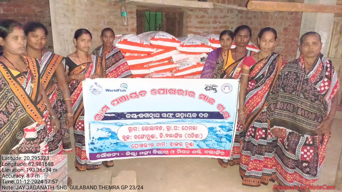 AFO_Bangomunda's tweet photo. Fish culture by WSHGs of Bangomunda Block under "MMKY-Input Assistance to SHGs for Pisciculture in GP tanks" scheme. #MMKY @CollectorBgr @farddept @CMO_Odisha @MissionShakti https://t.co/gZf6CpfpMU