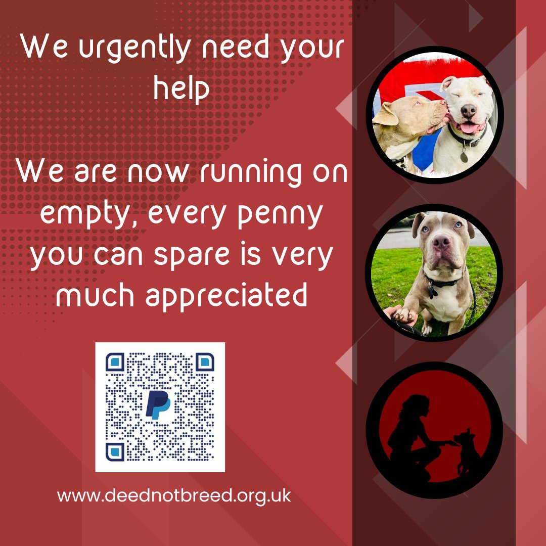 K9Drea's tweet photo. Please help if you can; the DNB team has been paying exemption fees and insurances from their own pockets but there's only so much we can personally do financially.

Our bank details are:
Deed Not Breed 
Sort code: 60-83-71
Account number:44598201
Thank you in advance https://t.co/l2cANhgPSy
