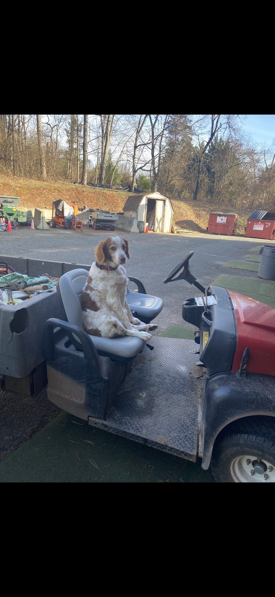 JT Latshaw (@jtlatshawturf) on Twitter photo Came for the turf…stayed for the <a href="/DogsOfTurf/">Dogs Of Turf</a> this good boy has logged 13 years in the business Came for the turf…stayed for the <a href="/DogsOfTurf/">Dogs Of Turf</a> this good boy has logged 13 years in the business
