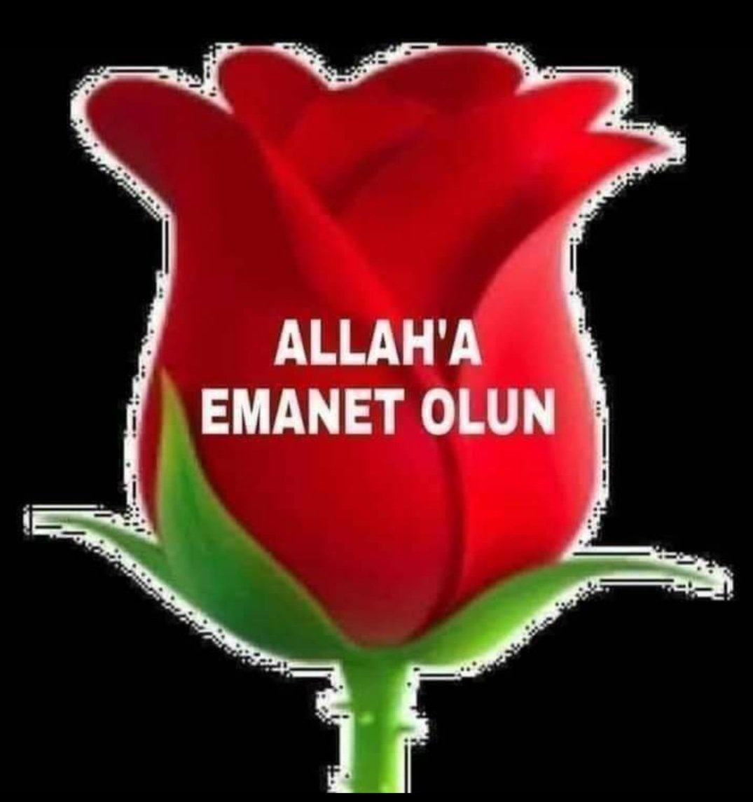 @Ahmet13779283 @1Aslano_ @aysedogan1955 @FiratKartOfc35 @Vatan0307 @Suatdurmaz2525 @SinanAkyuz73 @sukutu_tefekkur @alialtunkara @Chetin70 @DijitalSozcu @nefesgazetesi @Saltuk2360 @sinanrys1 @Siir_Baba_Sair @OrhunnHaber @salihmtufekci @__AkcaHatun__ @Vatan_Davamz @Vatan_54Sakarya @Once_Vatan_2022 @Benn__Sebnemm_ @Beninsan_sevmim @BenimDavamislam @BendNabi47 @Gnc55 @Fatma89820785 @Ceylan___Fatma @Faruksarioglu34 @FatmaYl29436200 @OsmanEN80490521 @OsmanOsmanbzkrt @HakanO34RTE @ozguryilmaz0303 @HayriyeSahin9 @Taha_Sivas_5858 @Bora_0910 @hassa61 @Zahirkul @MselahaddinYurt Hayırlı akşamlar Selam ve dua ile.🙋‍♂️👍