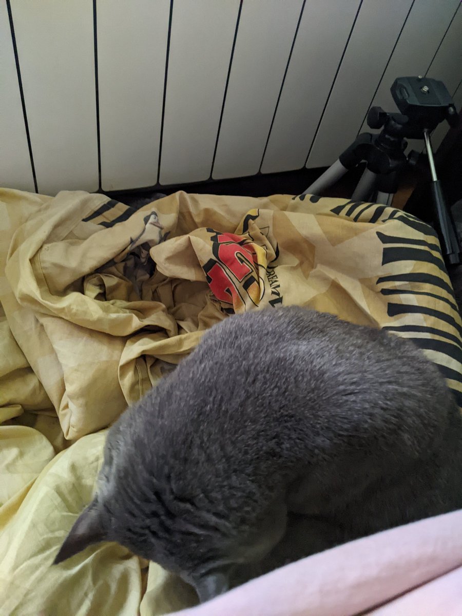 HvostikCat's tweet photo. He find warm spot https://t.co/IVzc3n8SOz