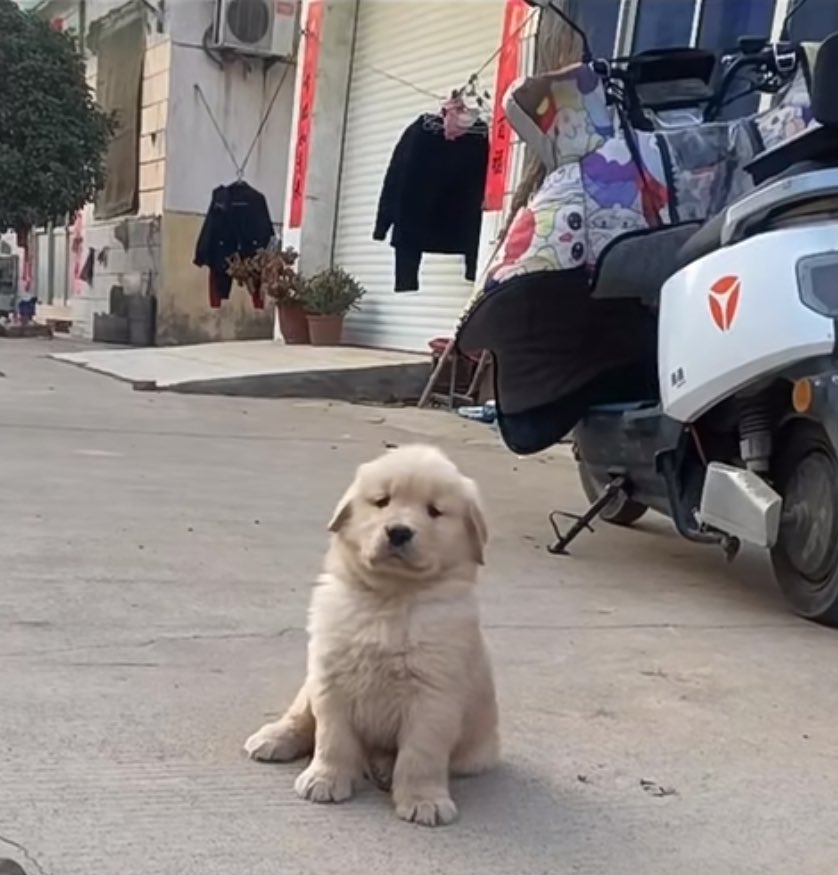 พี่คับ มีหอมสักฟอดมั้ยวันเด็กอะ