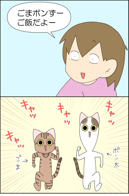 隣の芝生は青く見える 1/3(再掲)  #漫画が読めるハッシュタグ #漫画 #コミックエッセイ #猫のいる暮らし #猫のいる幸せ #日常垢