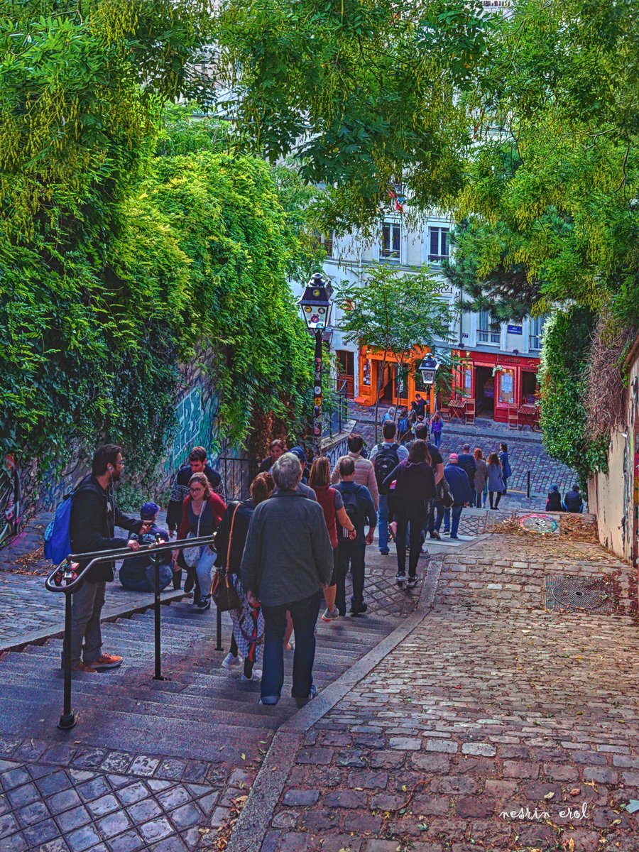 #Paris #TheParisEffect #streetphotography #lovelock #metalworkthursday #monmartre #stairs