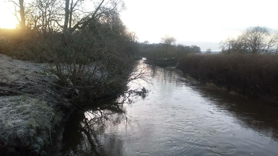 River Kelvin at Cadder 3 years ago today. Own pic.