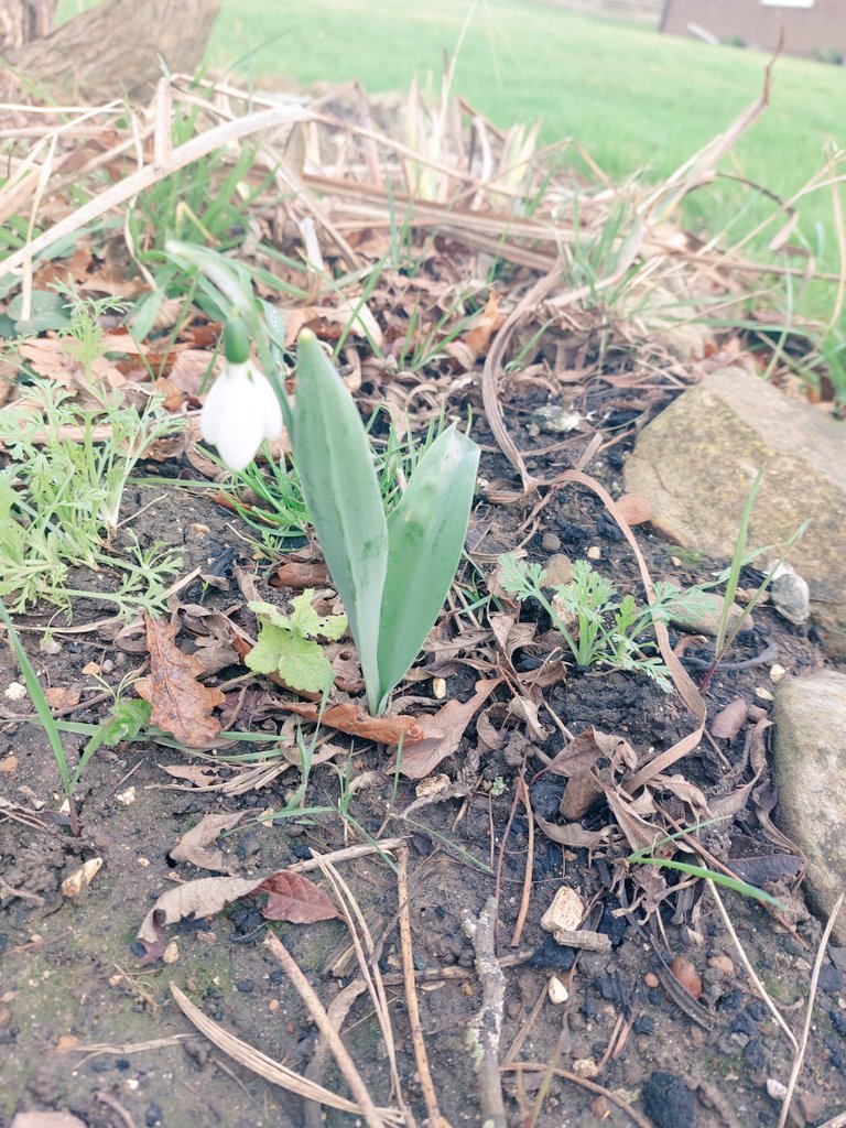 Kate Couzens tweet media