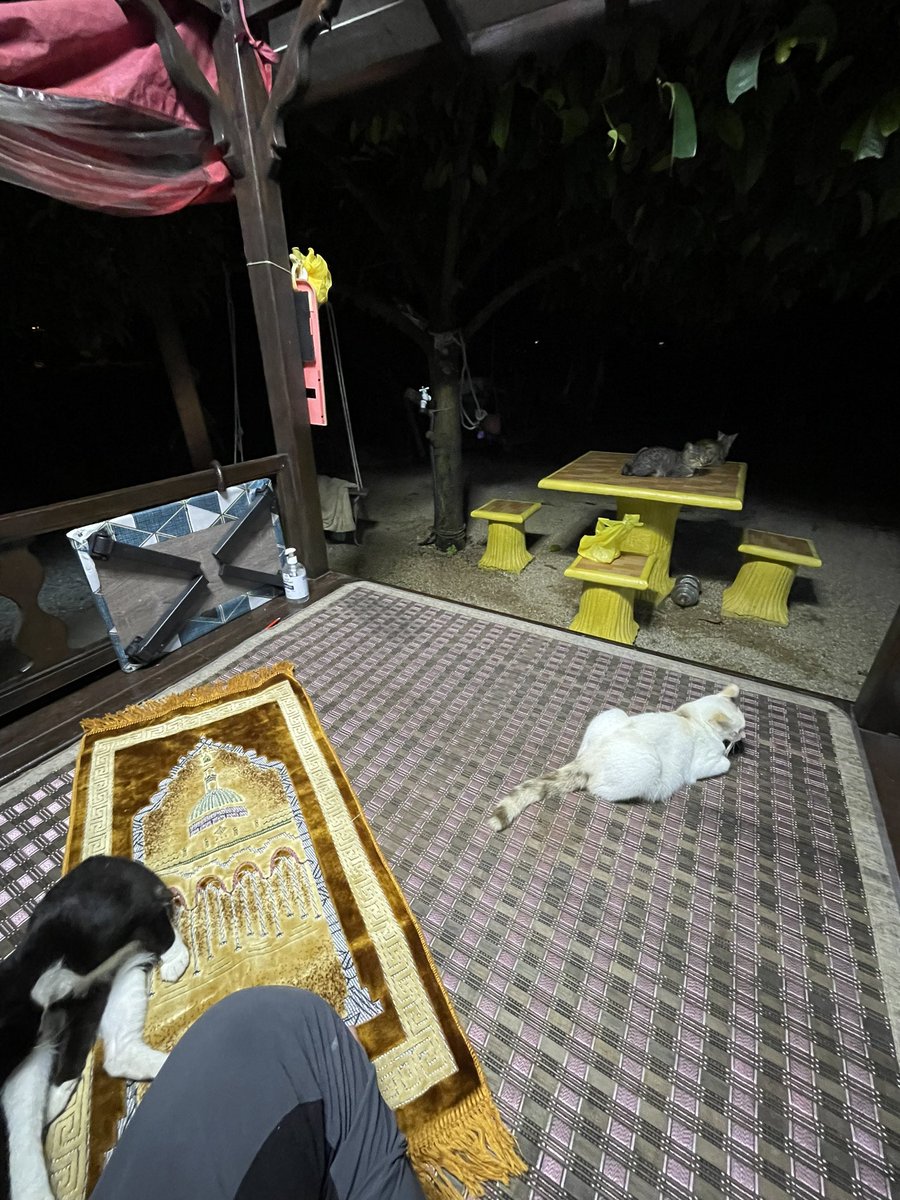 𝙱𝙴𝙽𝚉𝙴𝙳 (@tgzex) on Twitter photo 