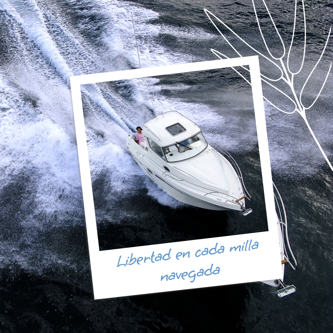 Barcos Lema Boats (@lemaboats) on Twitter photo 