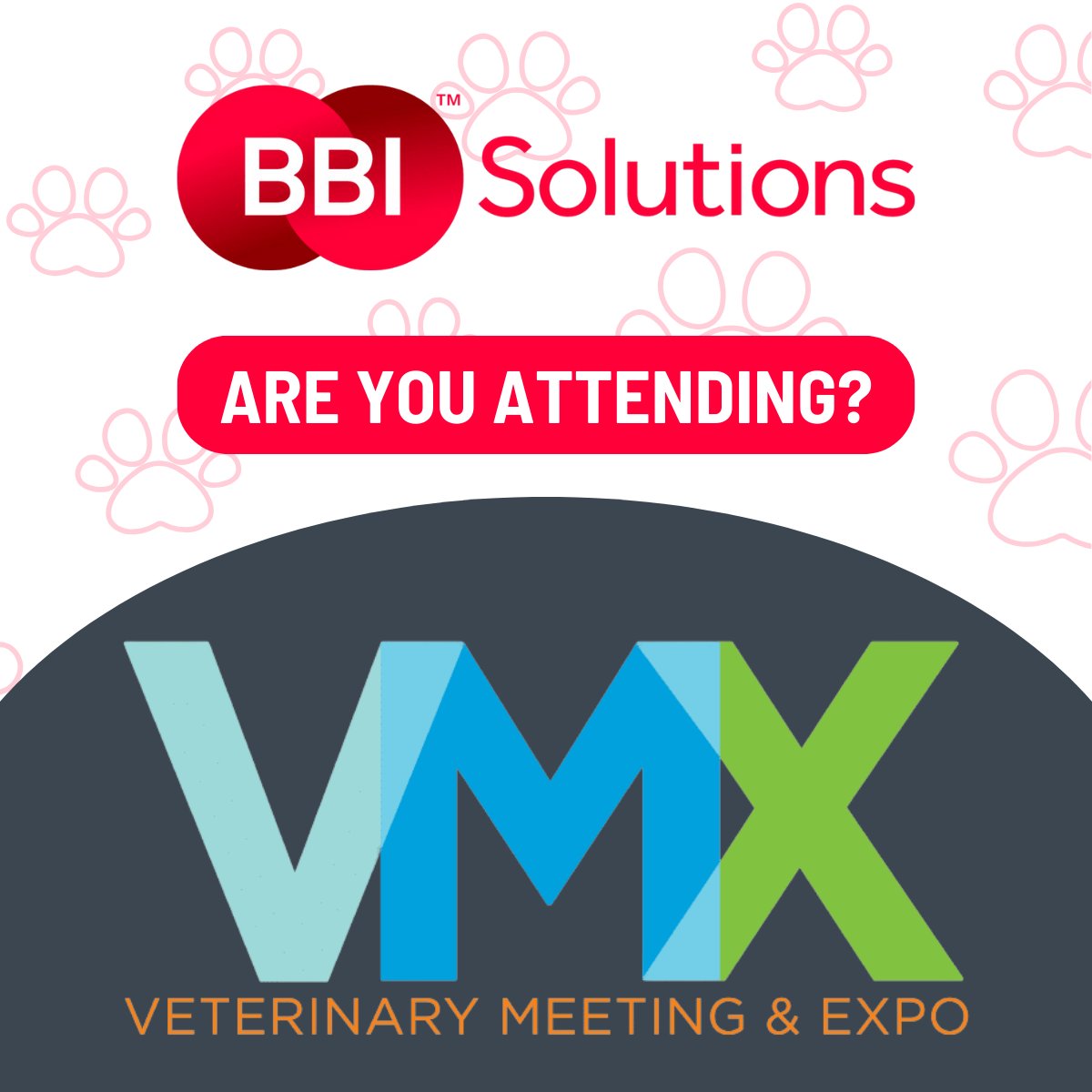 bbi_solutions's tweet image. Attending VMX 2024 in Orlando this weekend? Curious to learn how BBI&apos;s Lateral Flow technology can help address the challenges in veterinary diagnostic testing? Drop us a message to chat onsite and download our Veterinary Dx guide to learn more 👉 loom.ly/afi9pqk